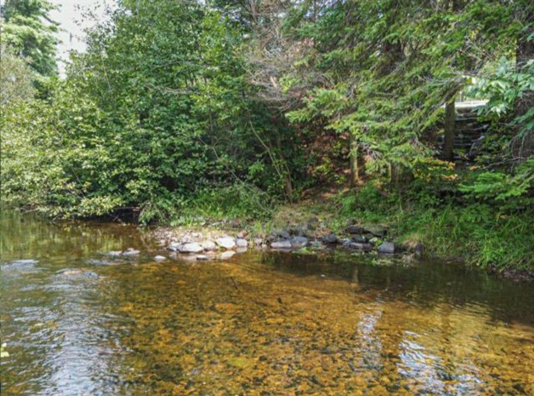 The river near the property